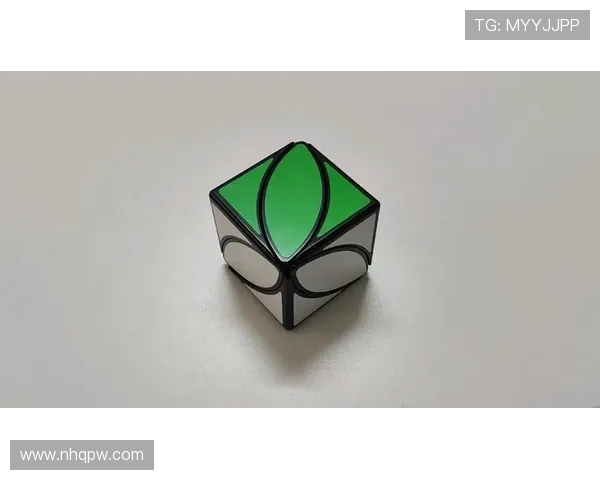 魔方三色巧解 罗马佛罗伦萨对决